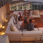 Aparthotel Goldcity 2 Chambres, Vue Sur Mer, Aquapark Non Inclus Alanya